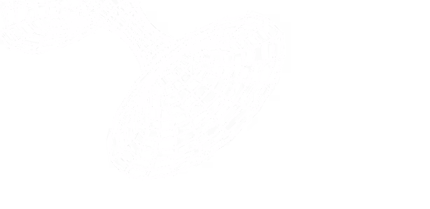 Illustration of a wireframe two sided funnel